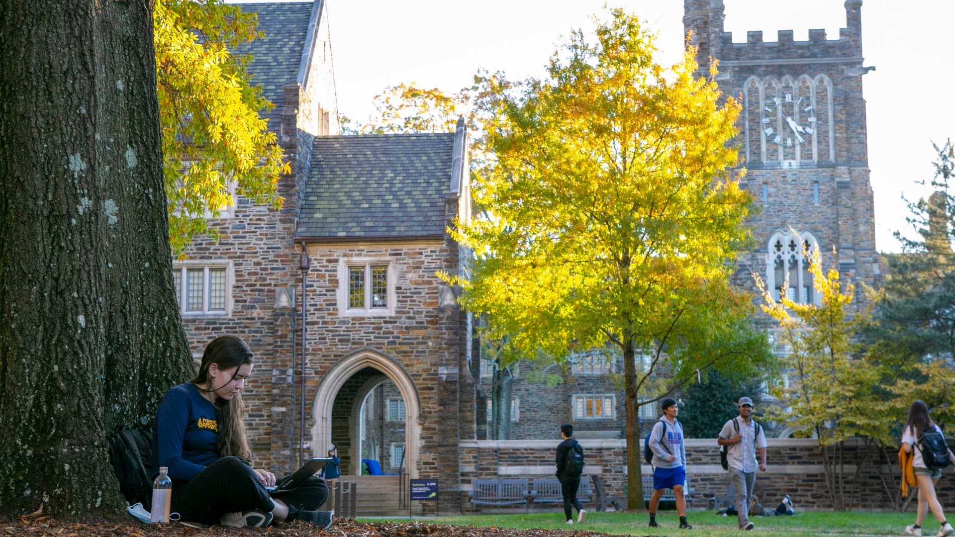 Shape Your Future at Spark Hills University