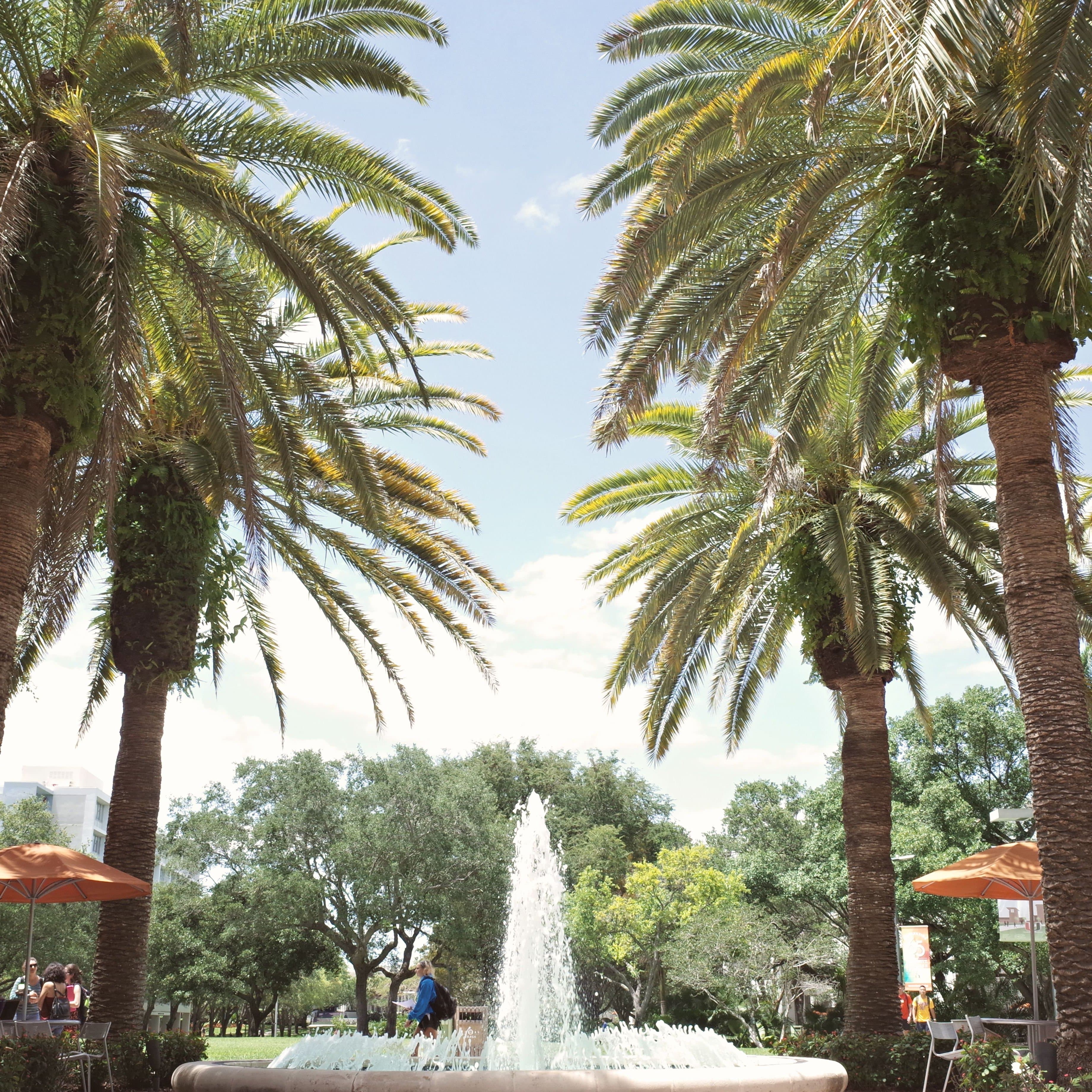 The Heart of Campus — Central Plaza