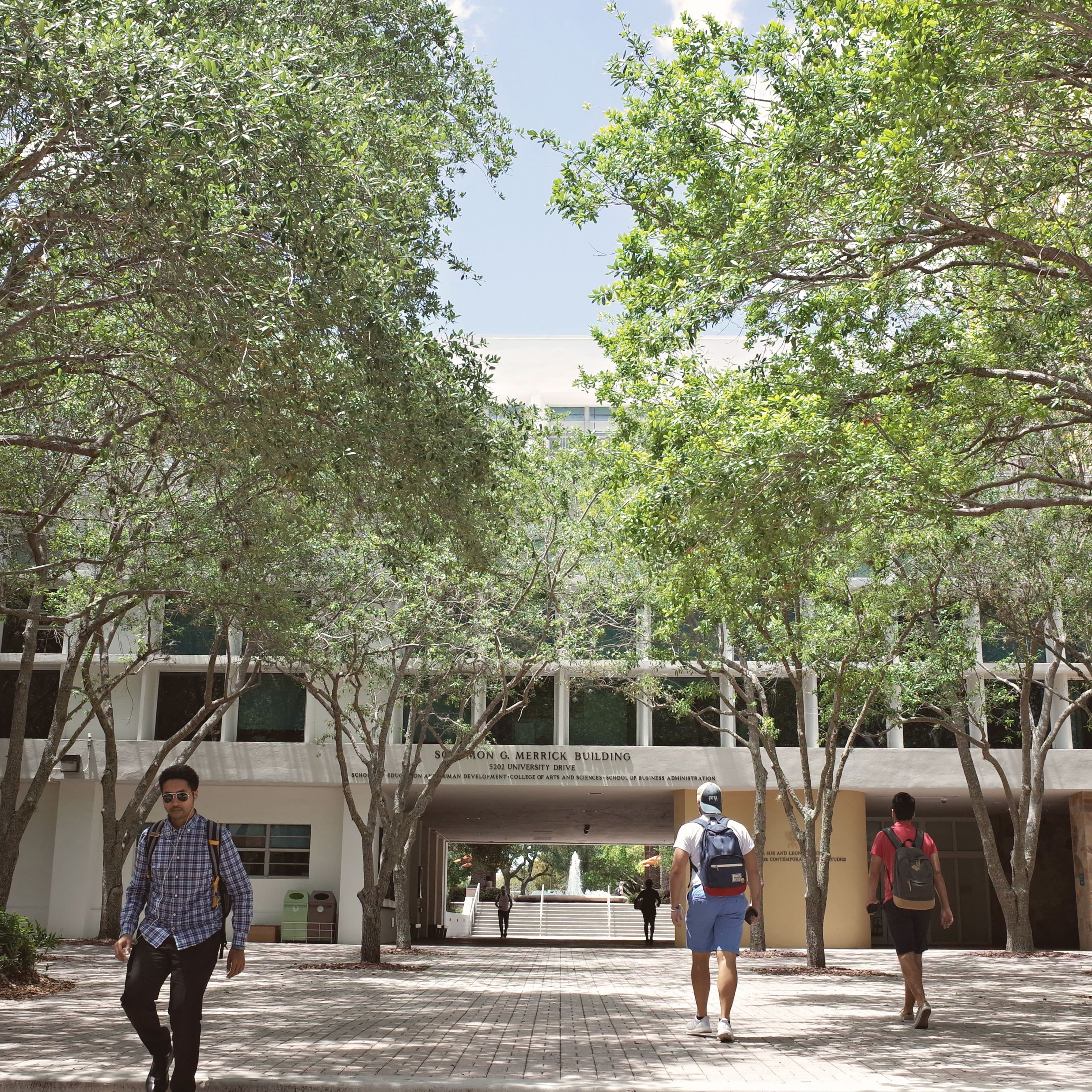 Everyday Walk to Class