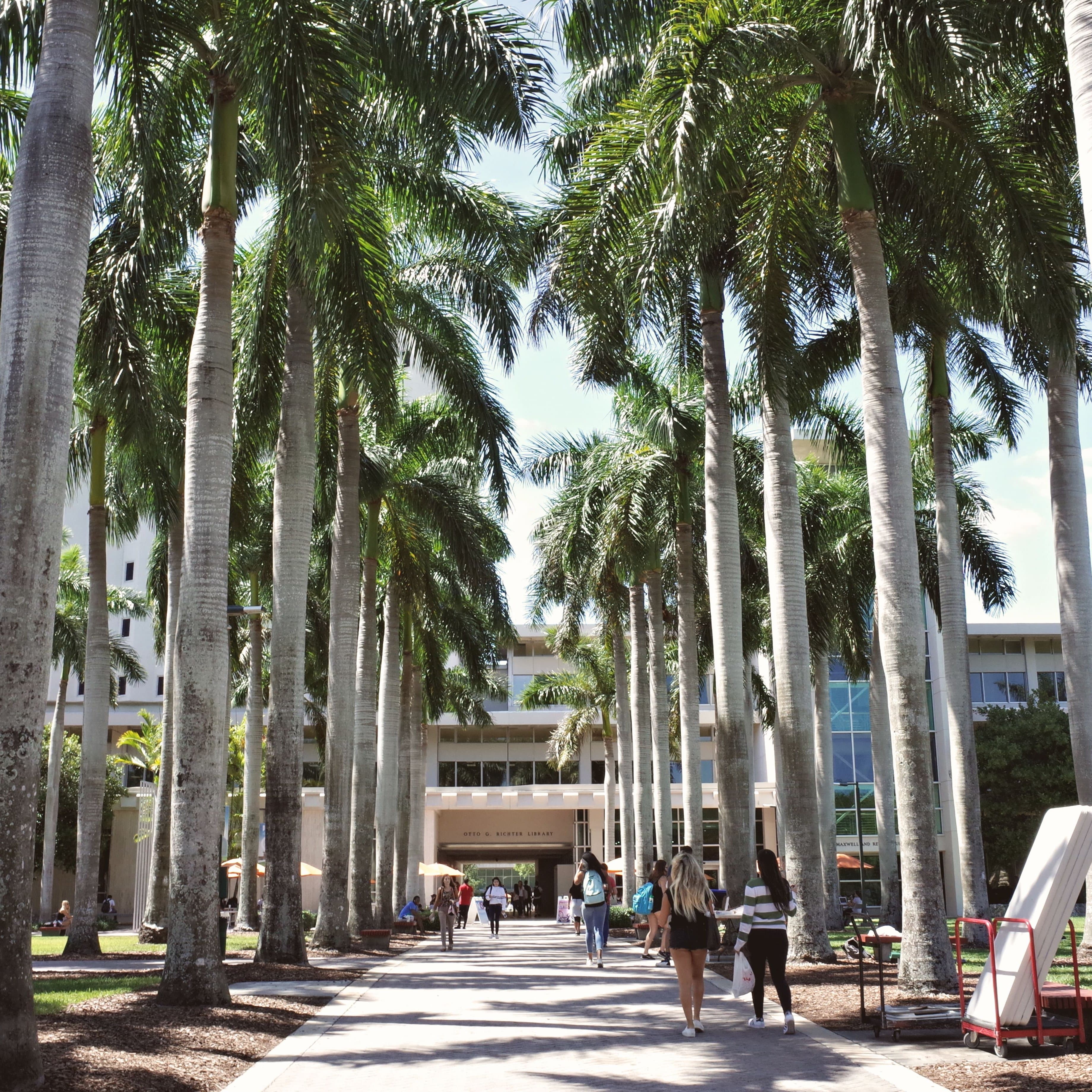 The Road to Knowledge — Library Walk