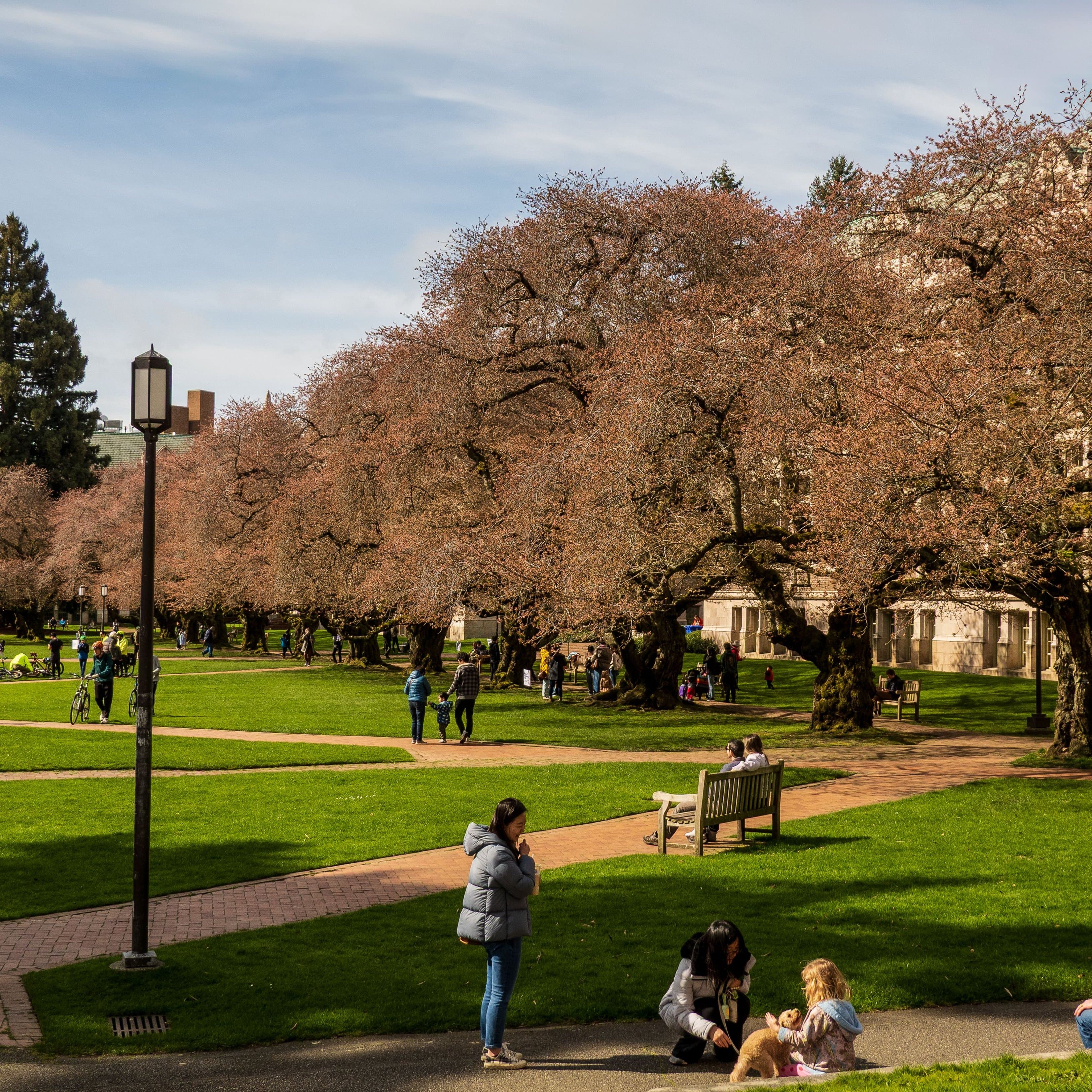 Blossom Season at Spark Hills